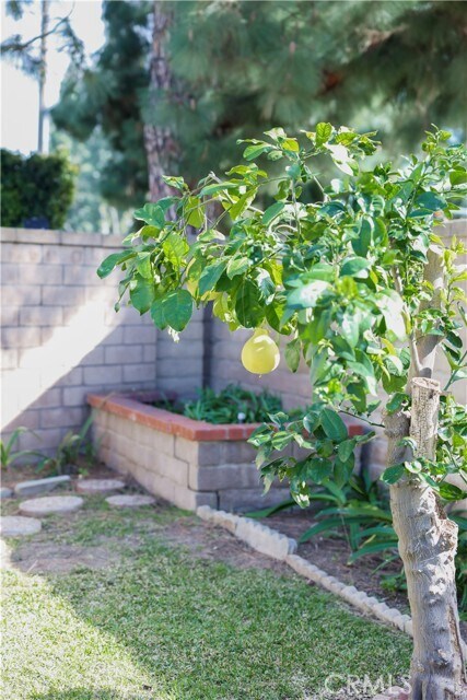 Building Photo - 183 S Starflower St