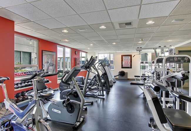 gym - 121 Vine St