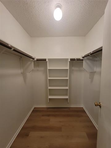 Building Photo - 4861 Parkview Hills Ln