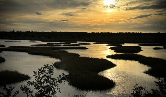 Building Photo - 8102 17th Ave W
