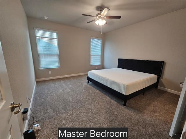 Building Photo - 2517 Bellatrix Dr