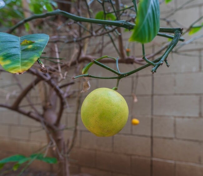 Building Photo - Spacious and Quiet Hawthorne Home!