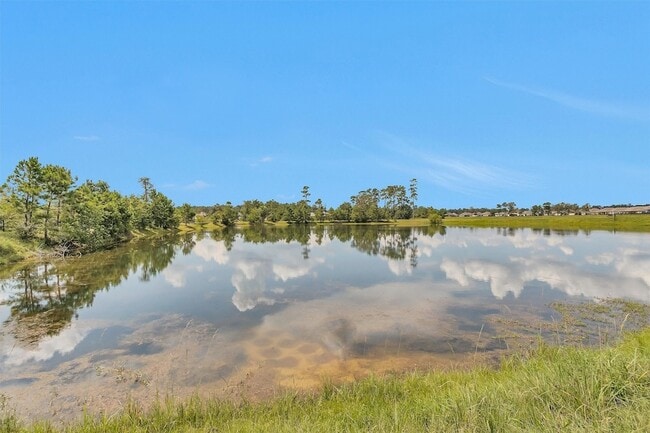 Building Photo - 223 Shoreview Dr