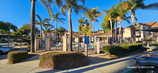 Building Photo - Downstairs Corner Condo in the Gated Community of Las Palmas
