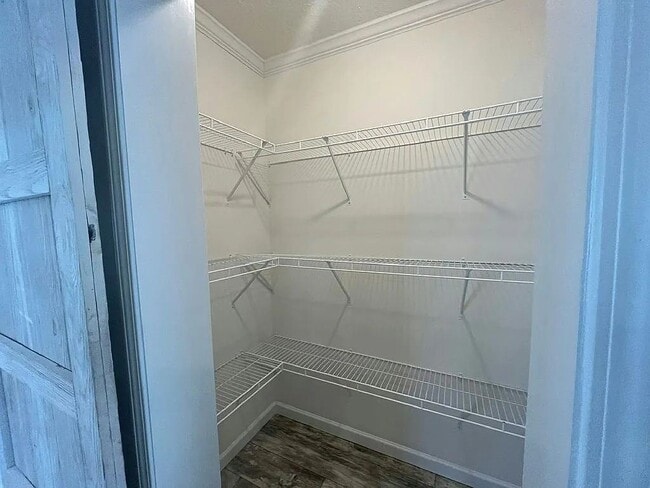 Building Photo - 608 Elephant Way