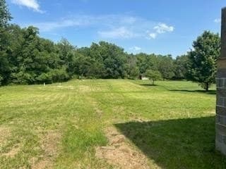 Building Photo - 1008 Fontaine Dr