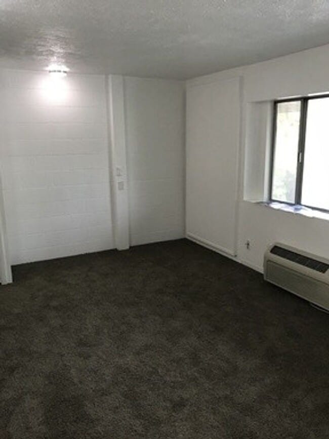 Building Photo - Studio Apartment - Available August 18th
