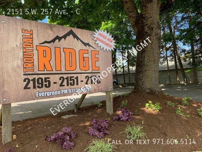 Building Photo - Freshly Renovated 2 BD x 1 BTH | Amazing D...