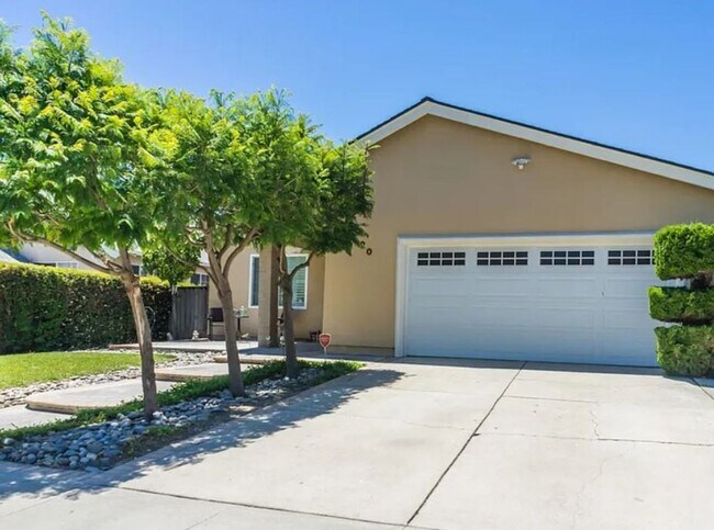 Primary Photo - Nicely Renovated 4 Bedroom House Walking D...