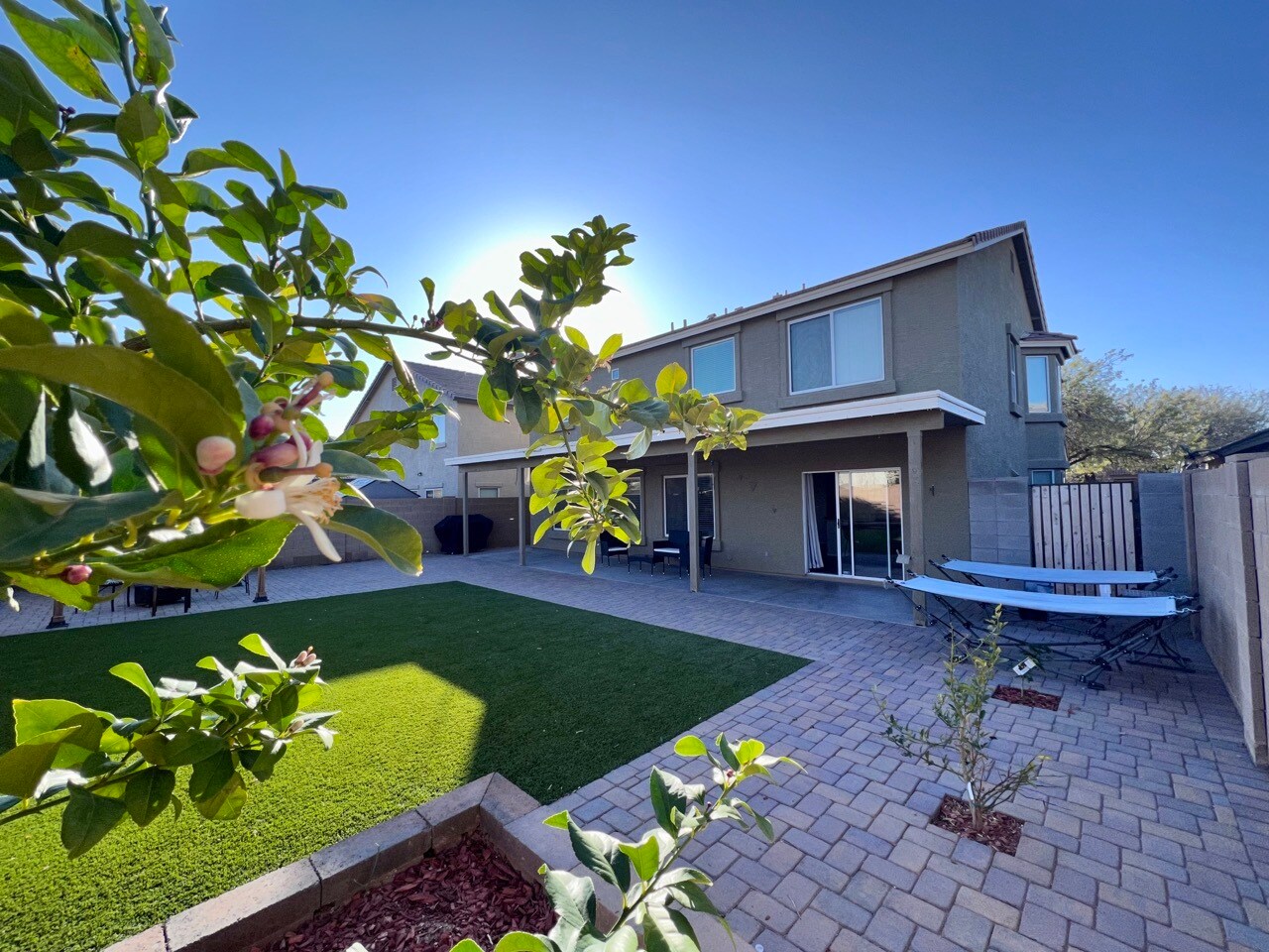 XL Backyard with Fruit Tree - 17464 W Caribbean Ln