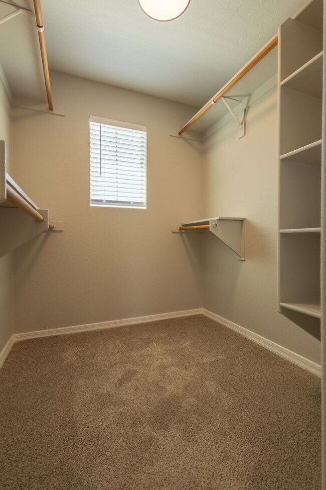 Building Photo - 3 Bedroom 2.5 Bathroom