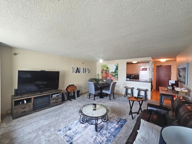 Building Photo - 480 N McClurg Ct