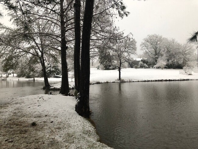 Building Photo - College Station - Lake Front Property - 3 bedroom / 1.5 bath - 2 story Home