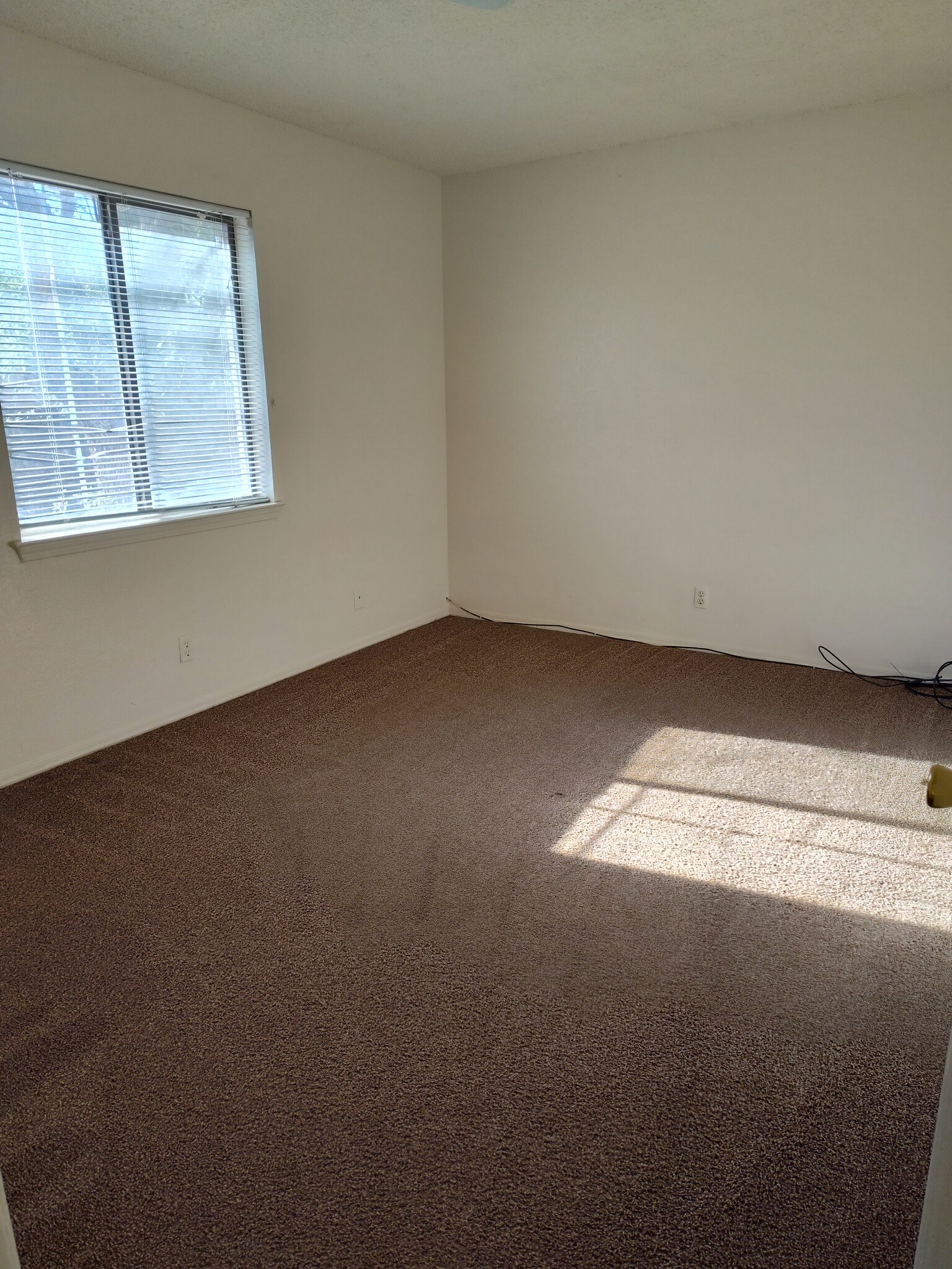 Building Photo - 2001 Amy Sue Dr