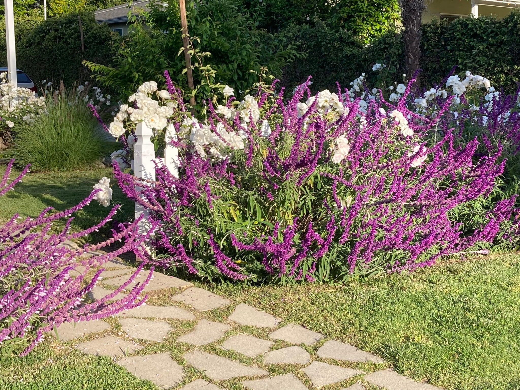 Building Photo - 5744 Calhoun Ave