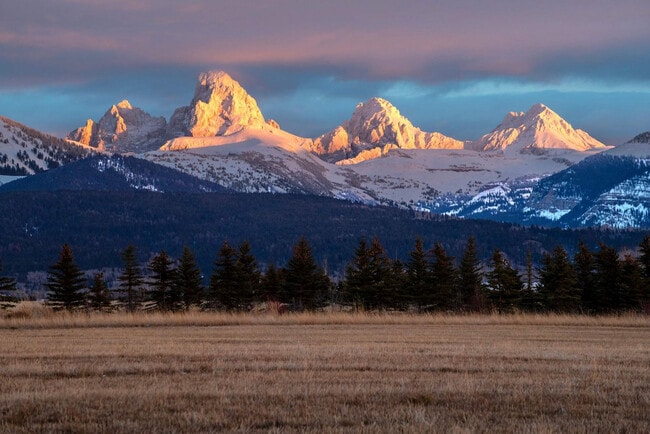 Building Photo - 4535 Roxanne St