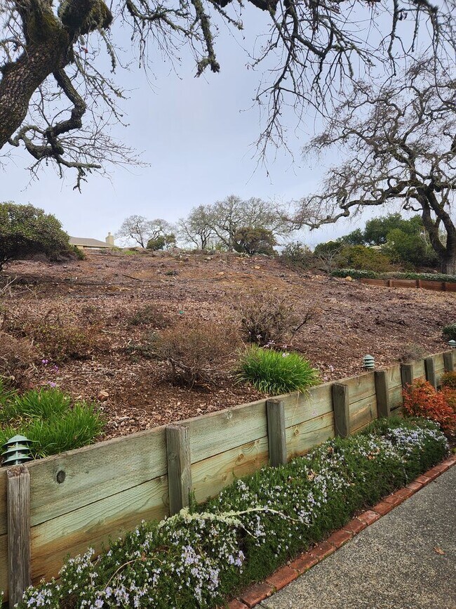 Building Photo - "Must See" House in Oakmont w/beautiful vi...