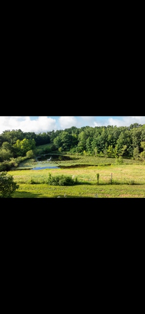 Building Photo - 113 State Park Rd