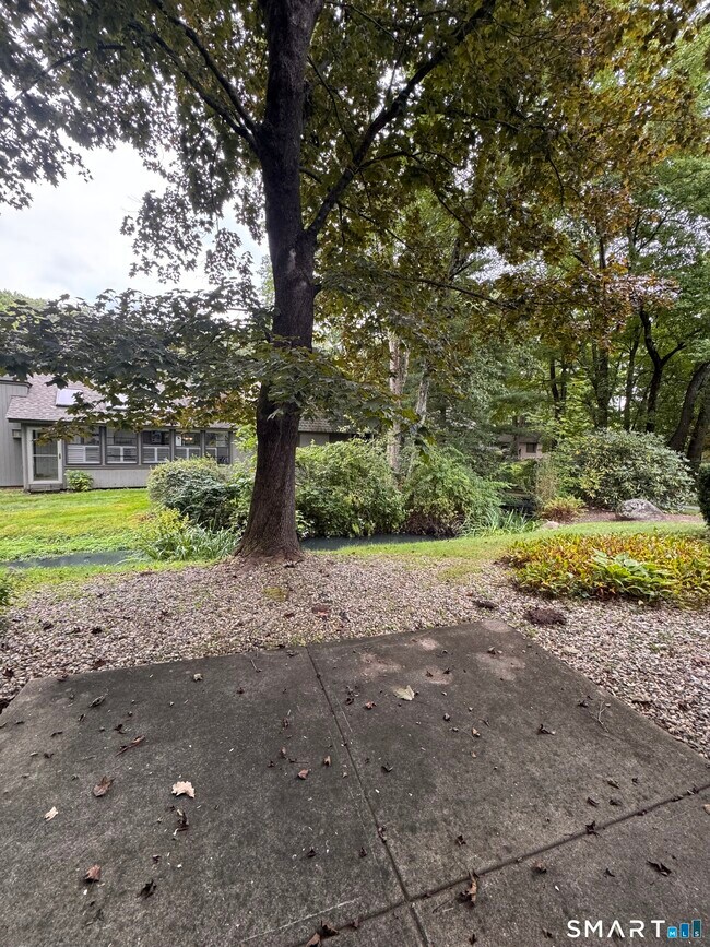 Building Photo - 41 Crocus Ln