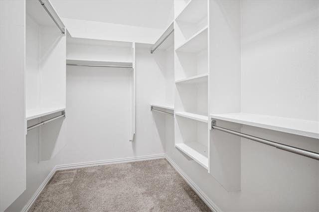 Building Photo - 3905 Dame Ragnel Dr