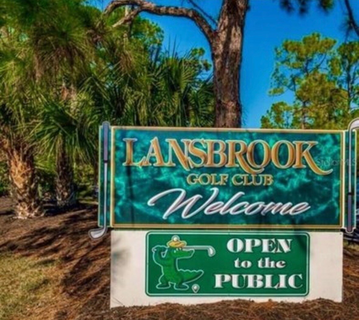 Building Photo - 4399 Brooker Creek Dr