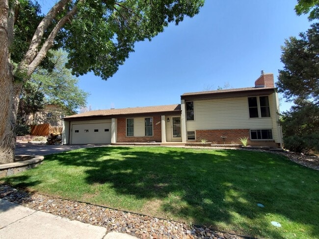 Front yard - 5219 Alta Loma Rd