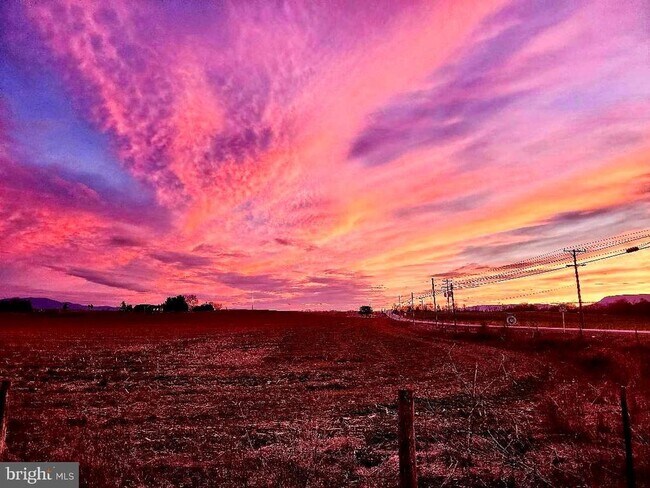 Building Photo - 515 Fourth St