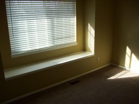 Building Photo - Wonderful Highlands Ranch Home with Extra Large Back Yard.