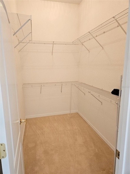 Building Photo - 920 Onager Ct