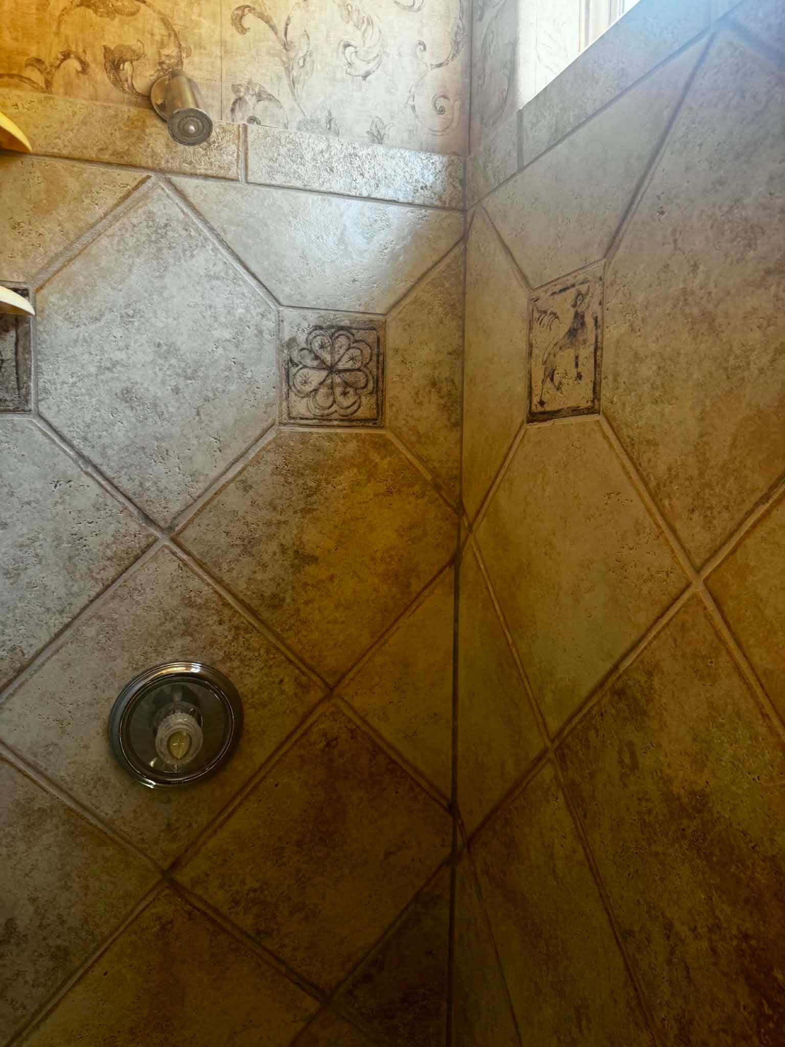 Primary shower - 4579 S Camino del Tejon