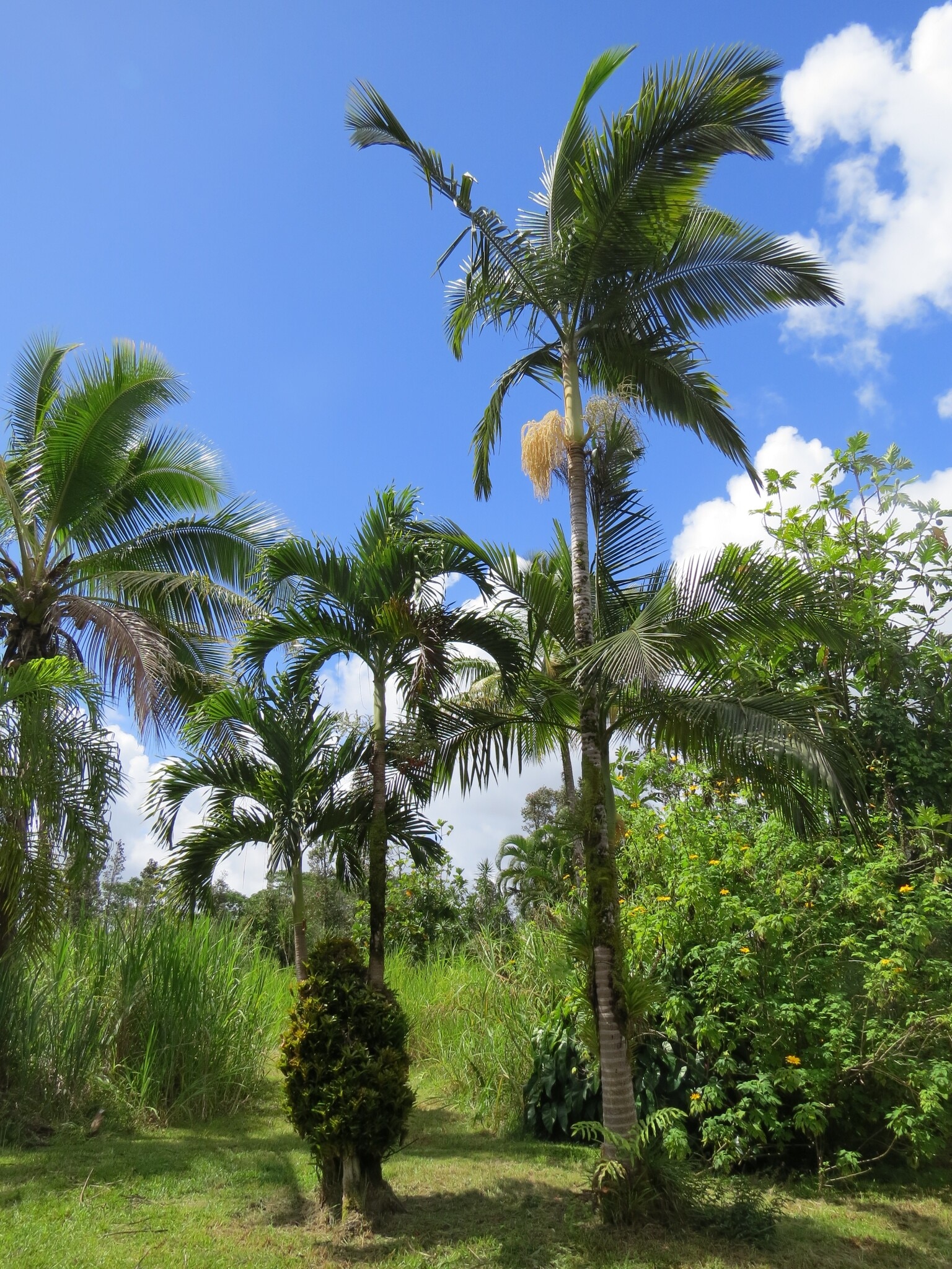 Building Photo - 15-1414 24th Ave