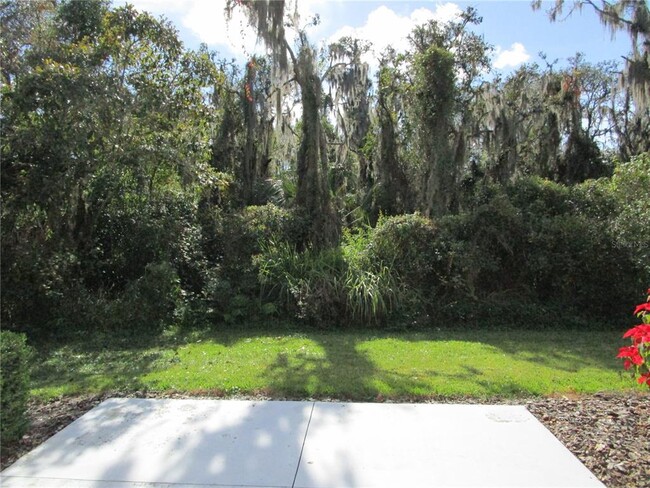 Building Photo - 15819 Fishhawk Falls Dr