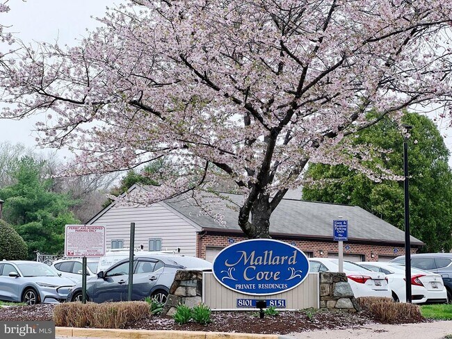 Building Photo - 8141 Needwood Rd