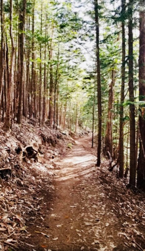 Building Photo - 99-1790-1790 Hoapono Pl