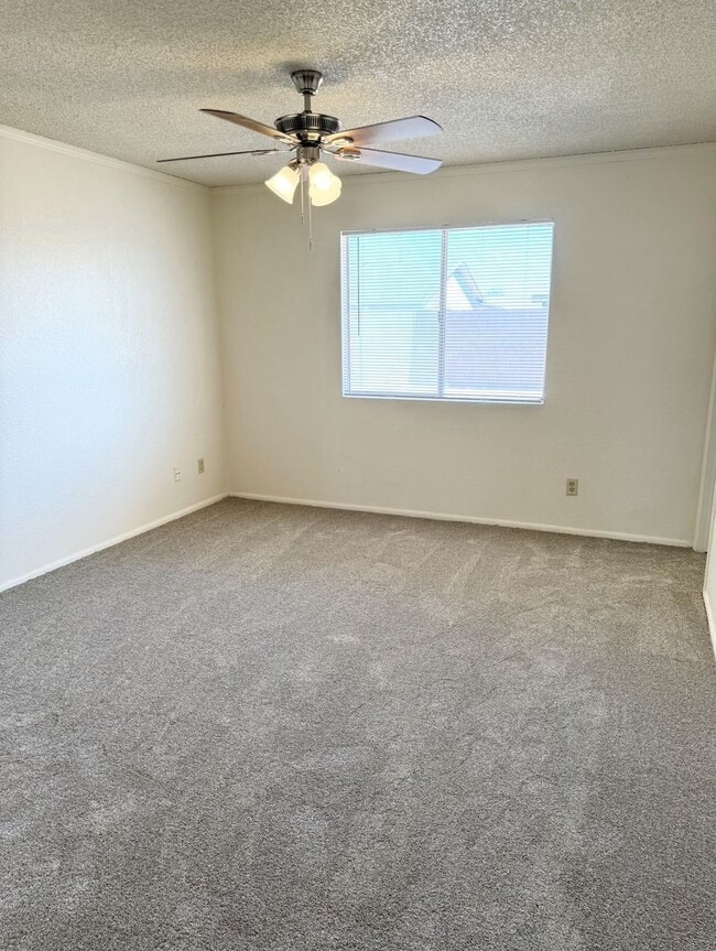 Building Photo - Fantastic 3 Bedroom/2 Bath Single Level Home! Schedule a Showing Today!