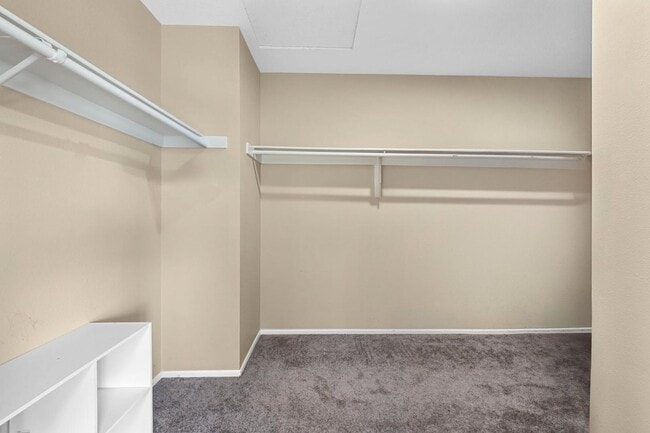 Building Photo - 509 Pacesetter St