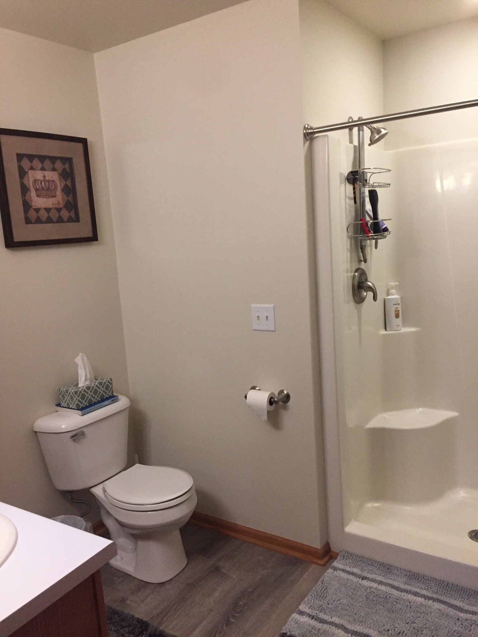 Master Bath - 611 Wellington Dr