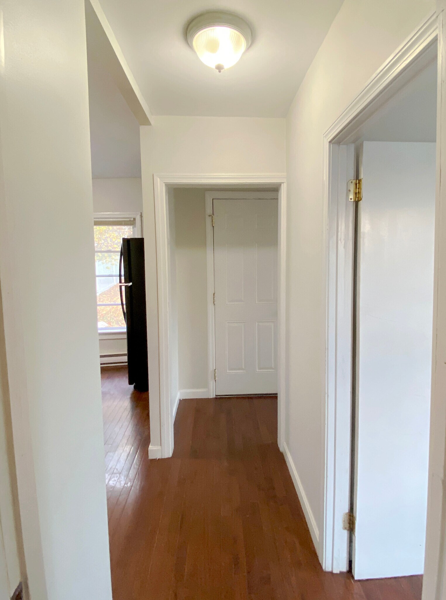 Hallway - 40 Clark St