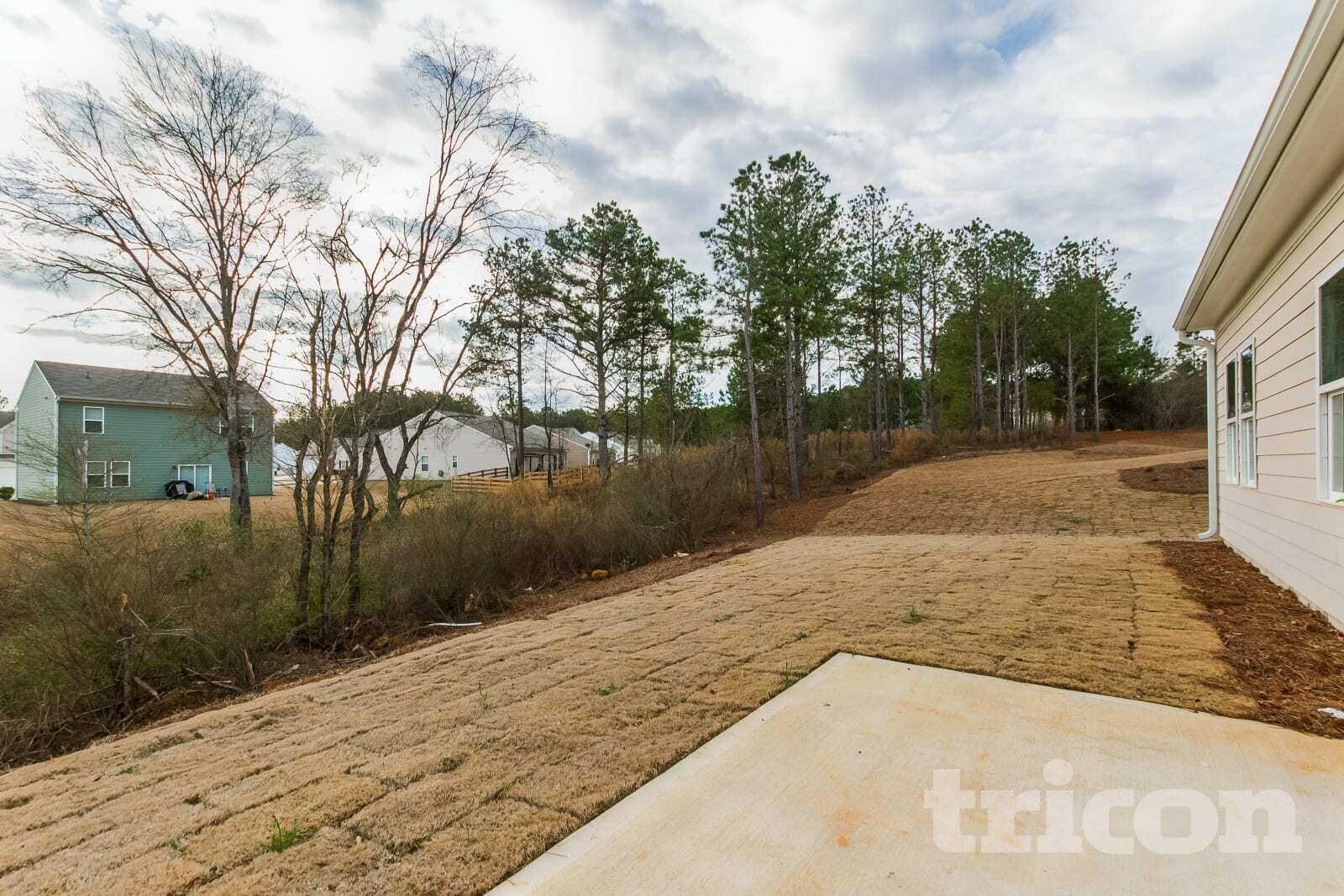 Building Photo - 21 Tabasco Cat Ct