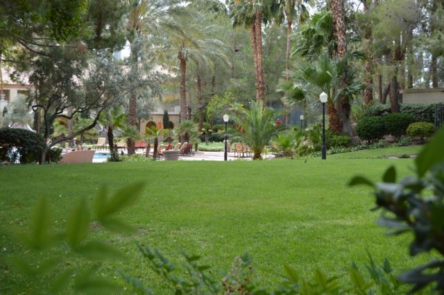 Building Photo - Meridian Luxury Top-Floor Condo with amazing Strip View (Electricity, Gas, and Internet included)