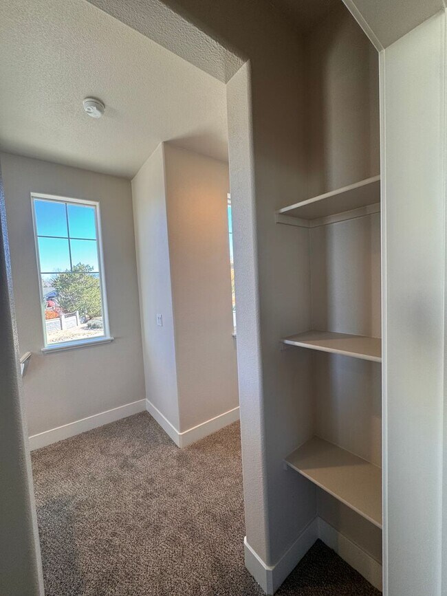 Building Photo - NEW! 3/2.5/2 Townhome in Gardnerville