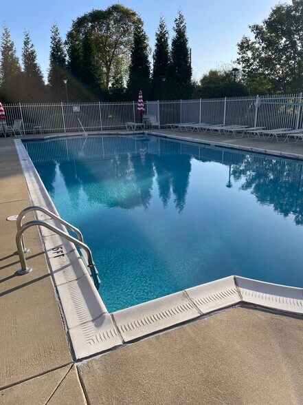 Pool - 6401 Cameron Ln