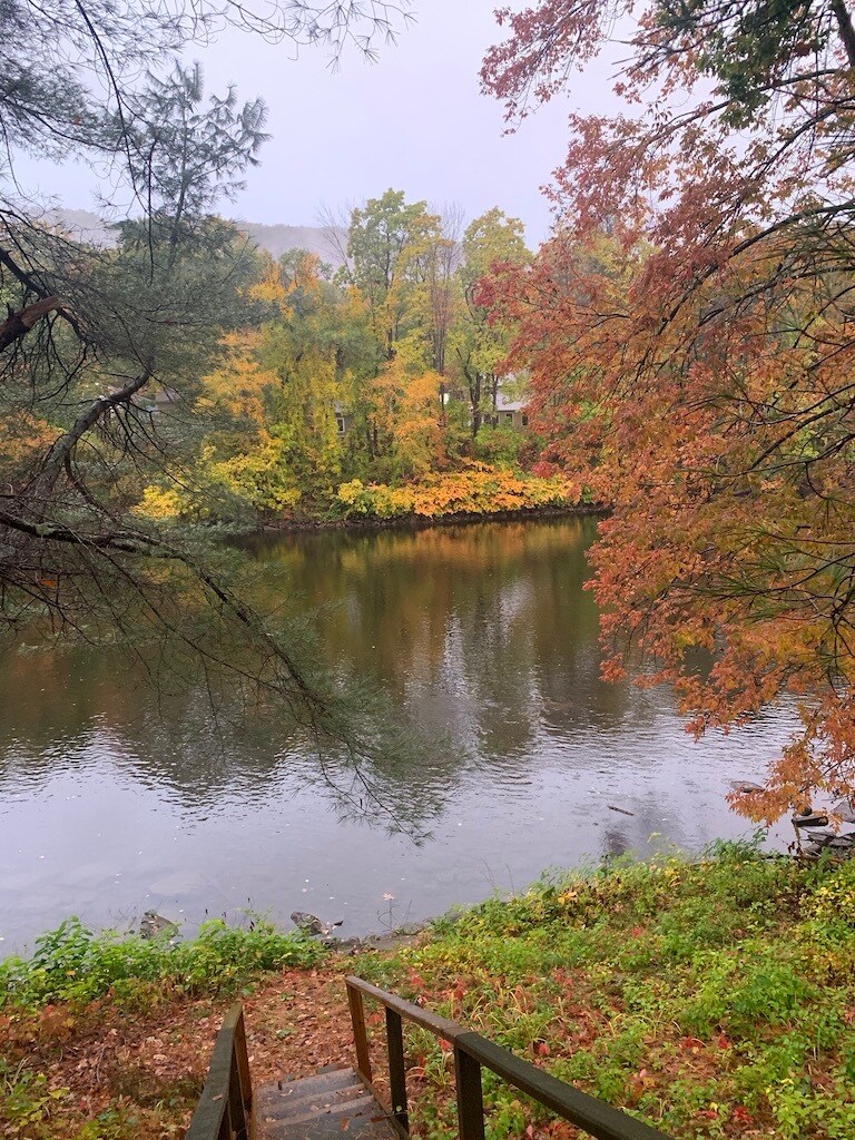 foliage view from house - 104 Main St