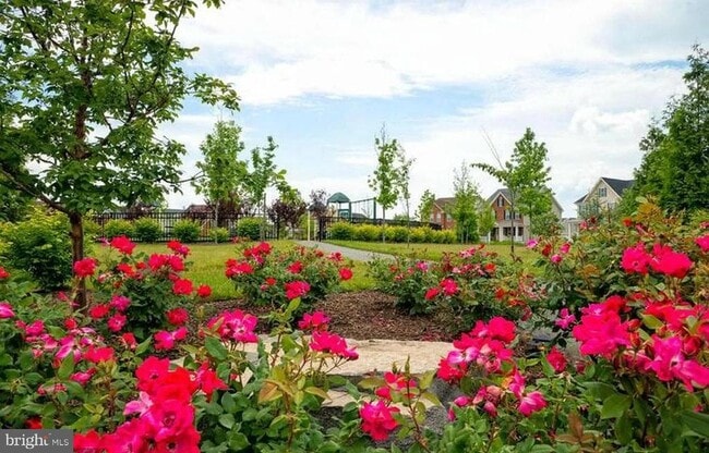 Building Photo - 23109 Dunlop Heights Terrace