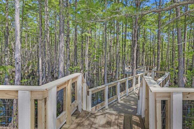 Building Photo - 187 Cypress Dr