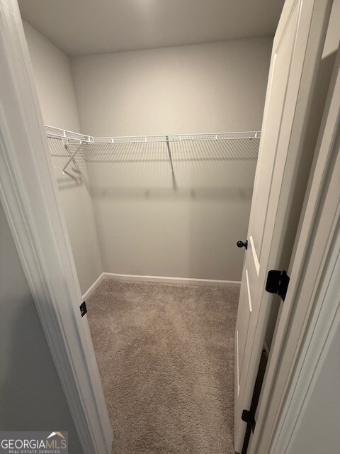 Building Photo - 123 Weeping Moss Way