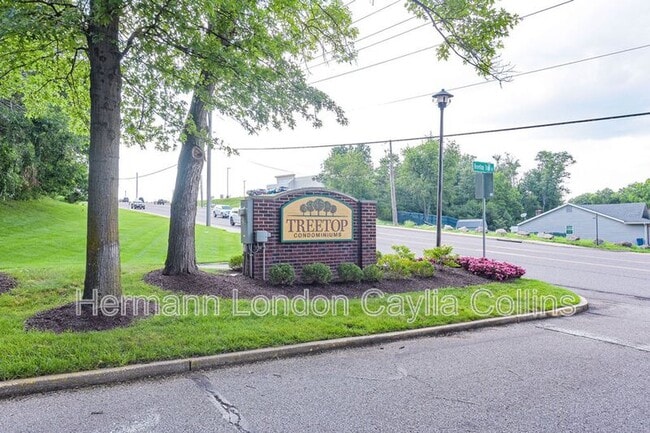 Building Photo - 725 Ridgeside Dr