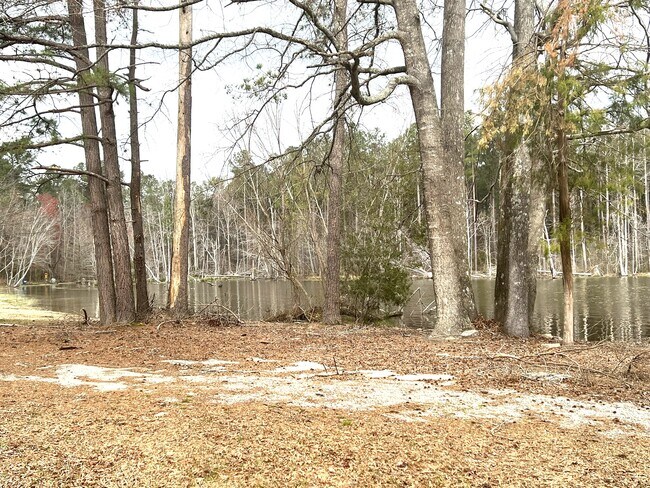 Building Photo - 102 Stillwater Dr