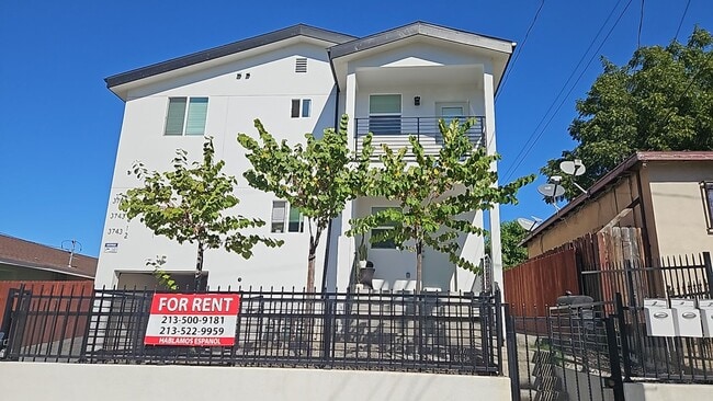 Primary Photo - LANFRANCO(3743)