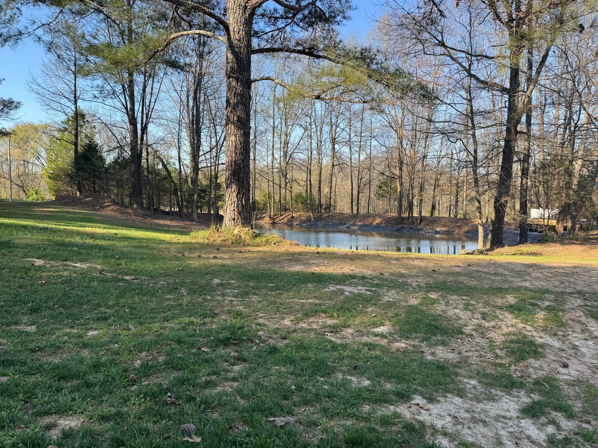 Pond - 1042 Adams Rd